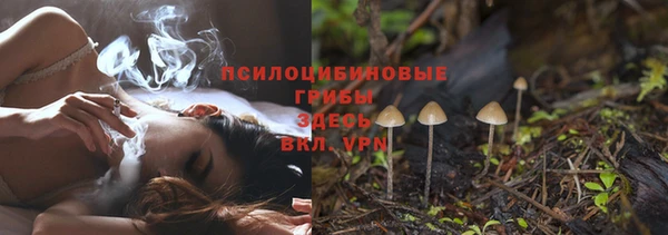 дурь Алексин