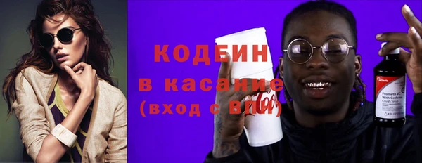 индика Алзамай