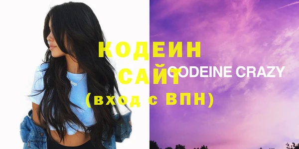 индика Алзамай