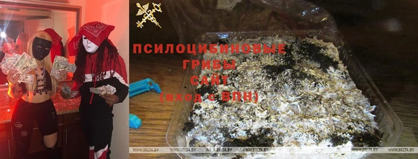 дурь Алексин