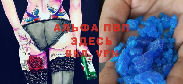 индика Алзамай