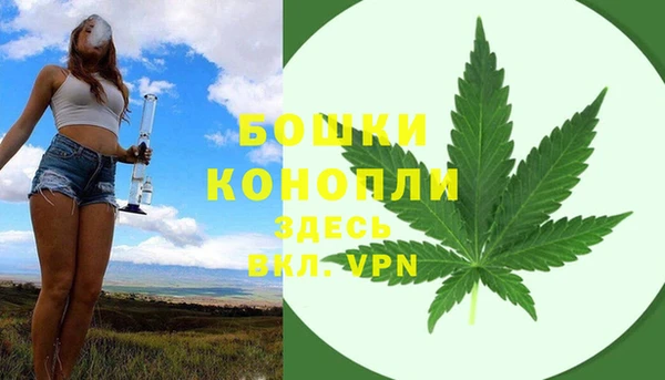 индика Алзамай