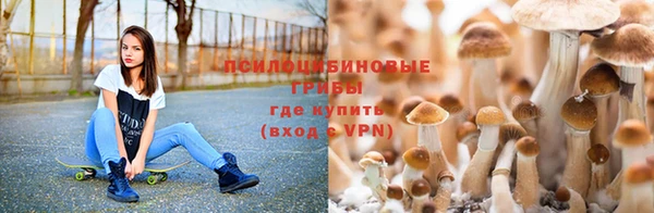 прущие крисы Алексеевка
