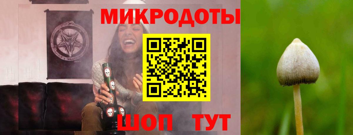 Ишим  Псилоцибиновые грибы MAGIC MUSHROOMS  Псилоцибиновые грибы прущие грибы  Вход с VPN 